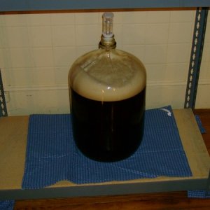 firstbatch
