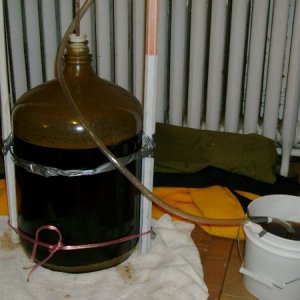 firstbatch