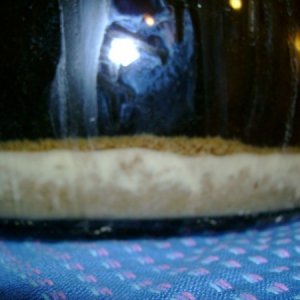 firstbatch