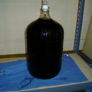 firstbatch