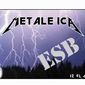 Metaleica