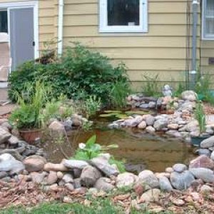 Wholepond