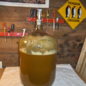 Kolsch