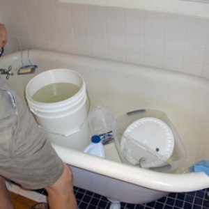 Kolsch