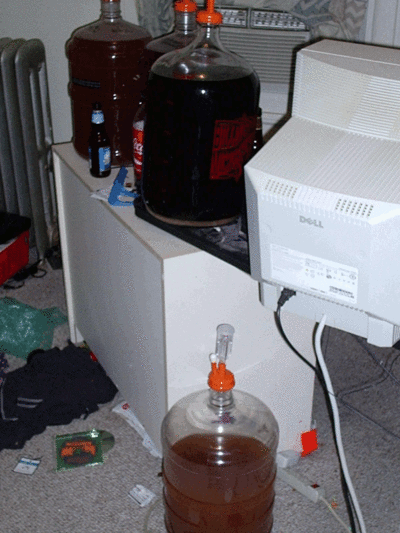 11369-various-brews.gif