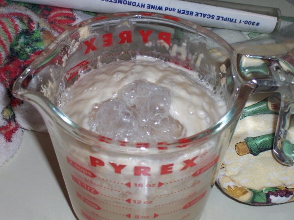 2560-000_0046.jpg