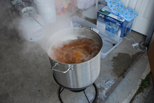 4305-TheBoil.jpg