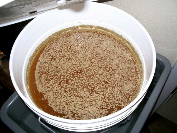 4569-HausAleFermenting.jpg