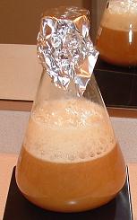 4688-starterhighkrausen.JPG