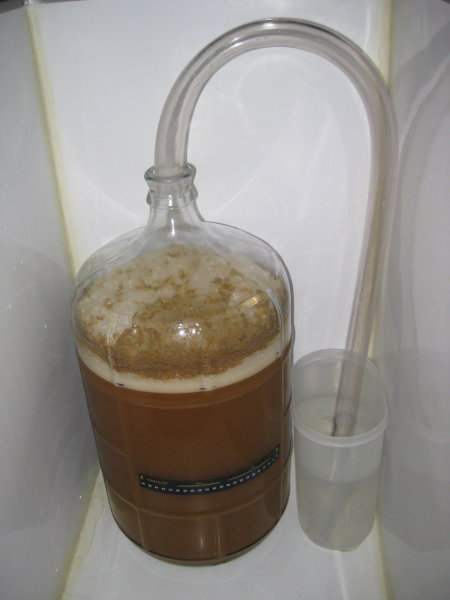 Fermenting4.JPG