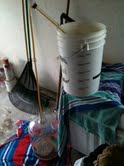 Into_the_Carboy_10-23-2010.jpeg