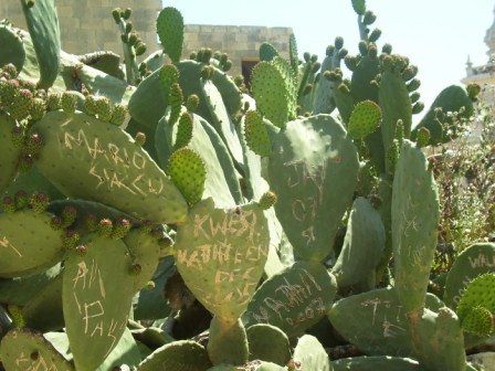 Malta_Grafeti.JPG