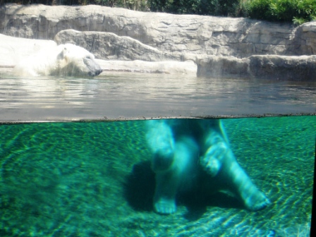 San_Diago_Zoo.JPG