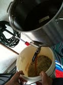 Straining_after_the_drain_10-23-2010.jpeg