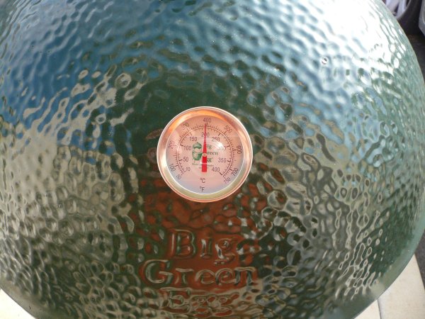 egg_temp.JPG