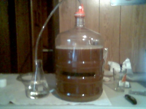 fermenter.jpg