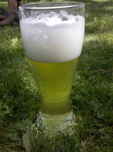 2010-07-07_12_38_58.jpg