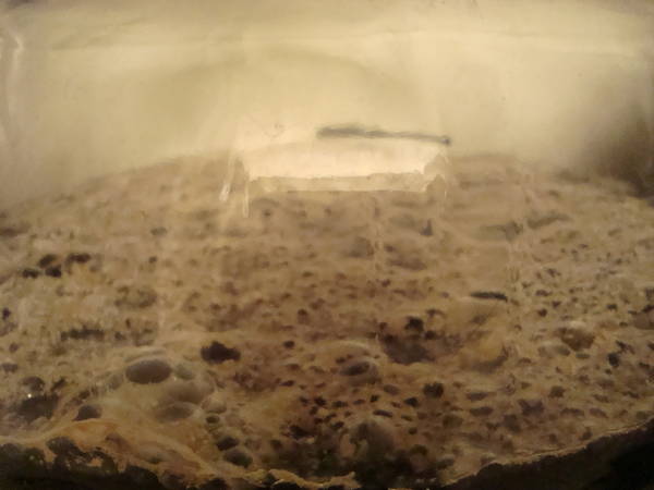 DSC01188.JPG