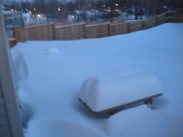 DSCN0277.JPG