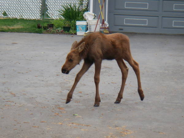 DSCN0907.JPG