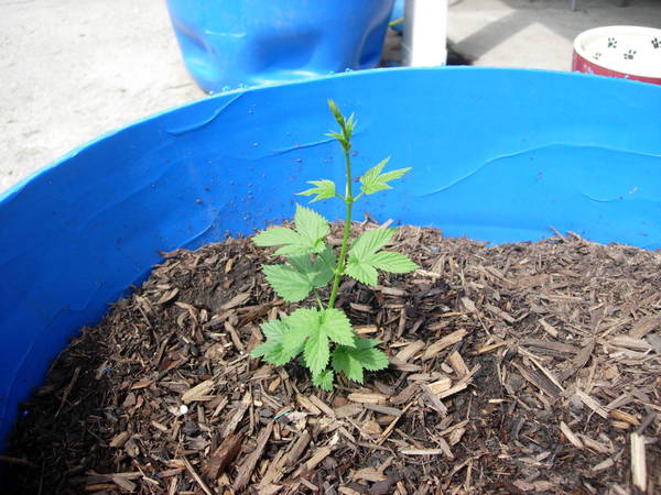DSCN3182.JPG
