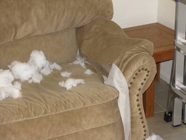 DarbyCouch2.JPG