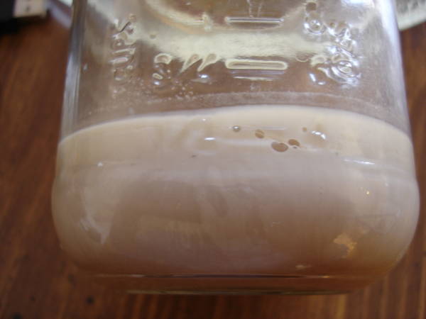 Iowa_Yeast_Capture_-_50327_006.jpg