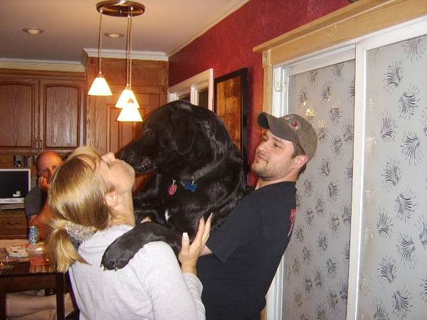 LITTLEDOG.jpg
