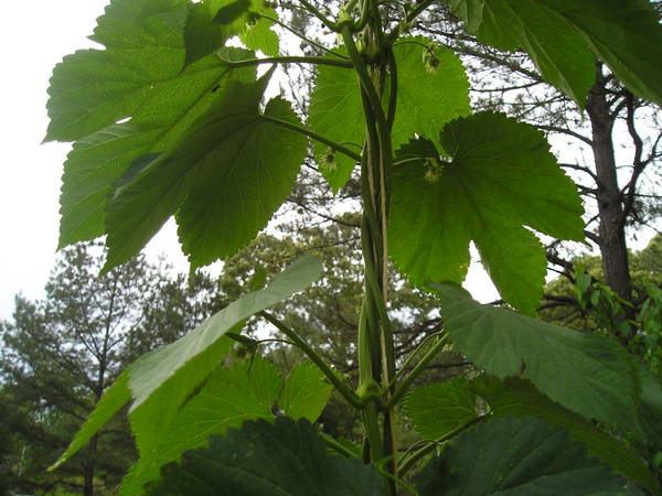 P1010170.JPG