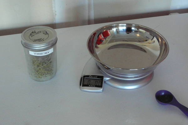 P1020563.JPG