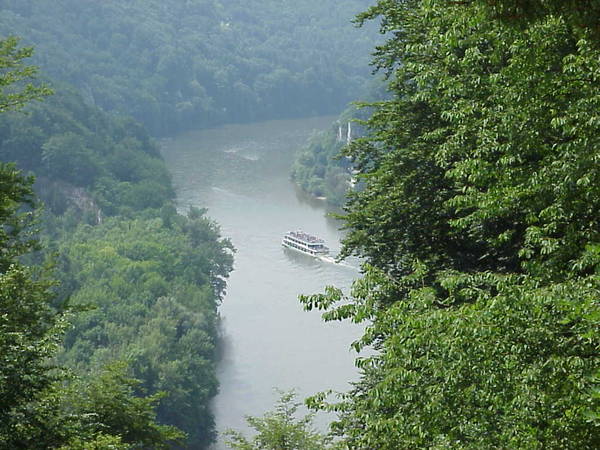 PICTURE31.JPG