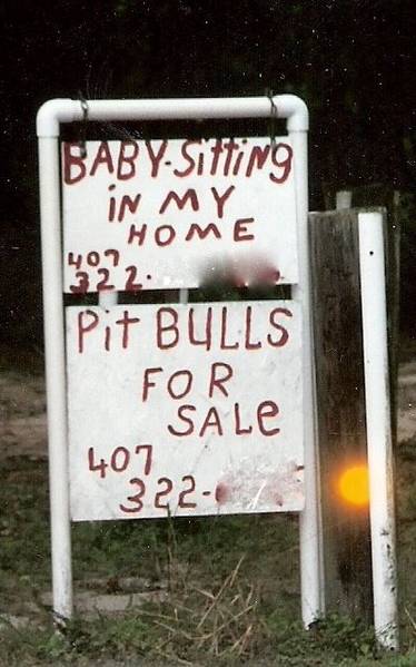 Pit_Bull_Babysitter2.jpg