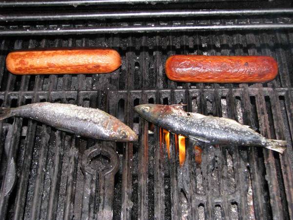 Sardines.jpg