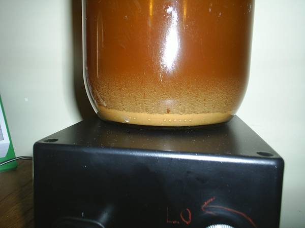 Yeast_Pacman2_2009.jpg