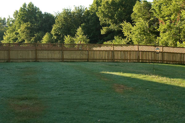 fence-1.jpg