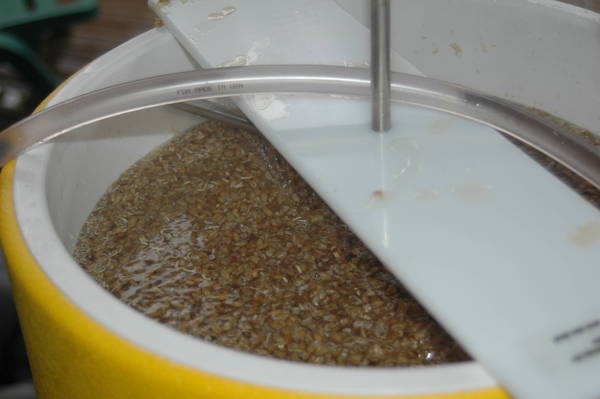 jeffbrew51306_0091.jpg