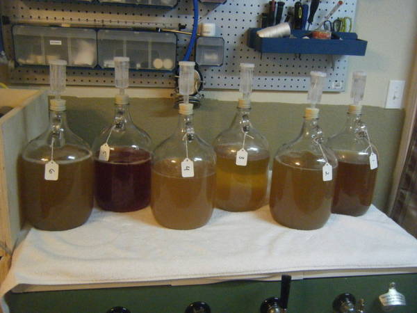 mead53_800x600.jpg