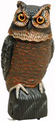 motion-detector-owl-148035.jpg