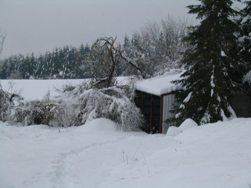 snow_on_the_barn.jpg