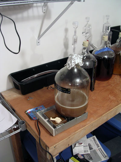 wyeast1728starter.jpg