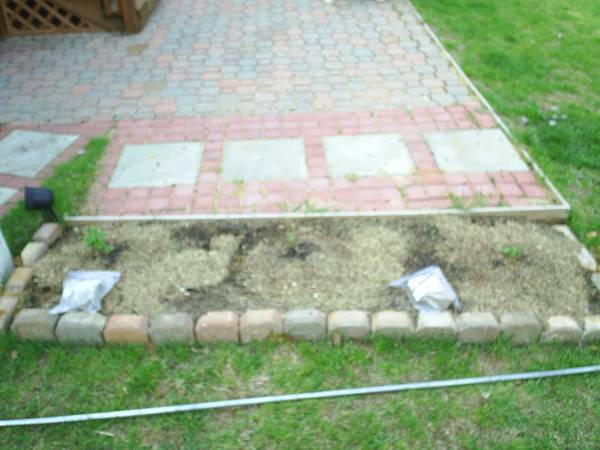 2008_Hops_Garden1.jpg