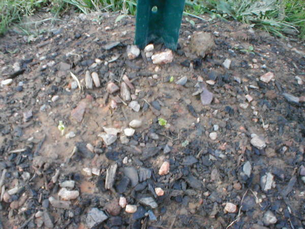 P1010099.JPG