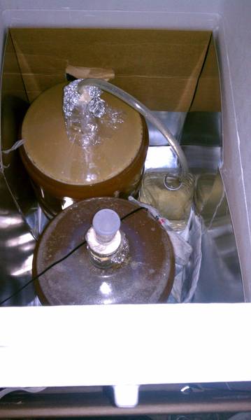 Cluster_Saison_in_Fermenter.jpg