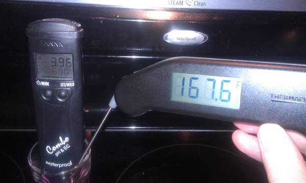 IMAG0347.jpg