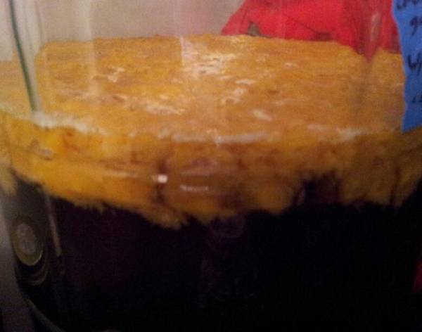 mango_pellicle.jpg