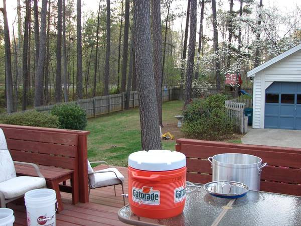 06_Backyard1.JPG