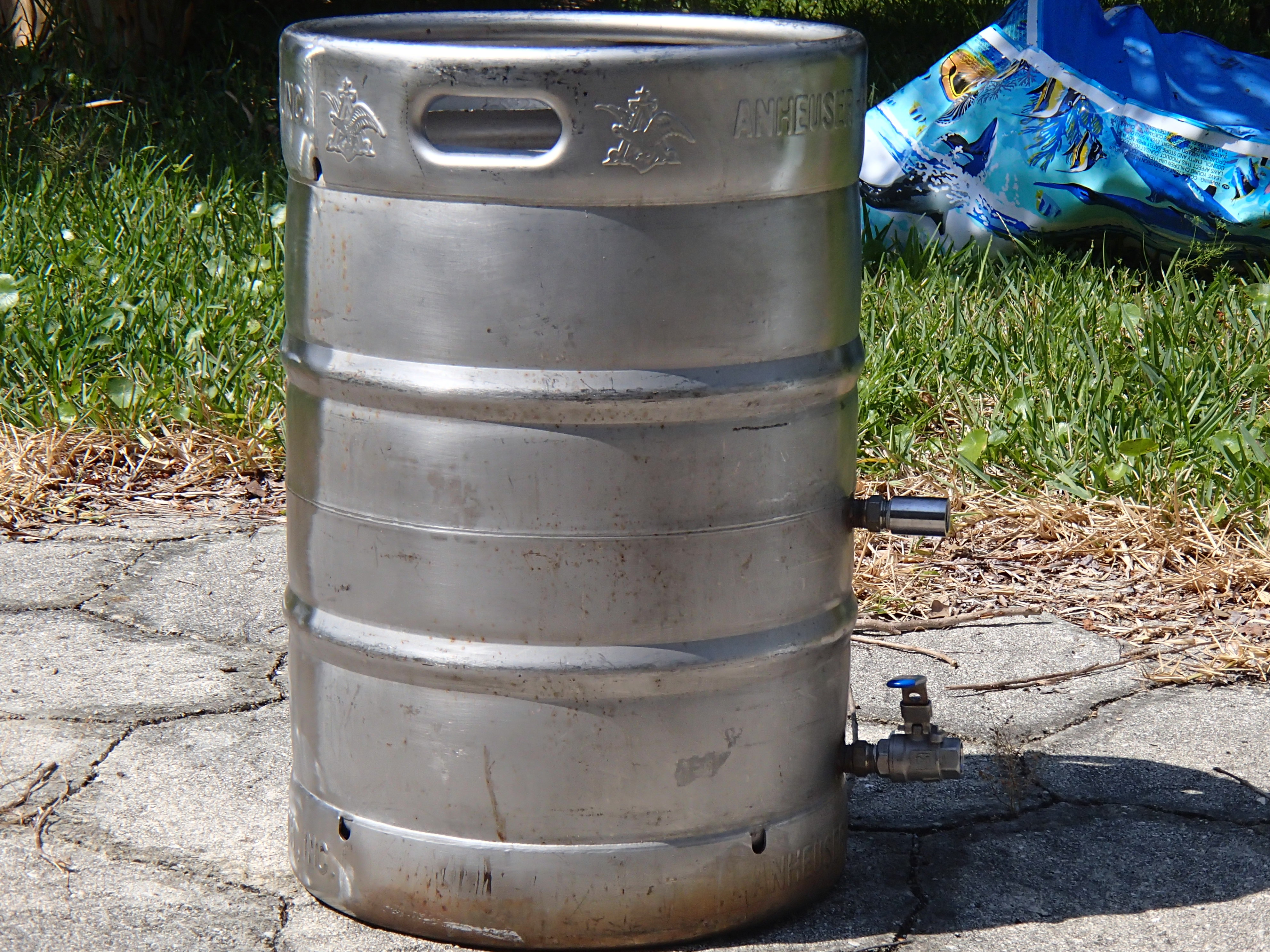 p6160143-63124.jpg